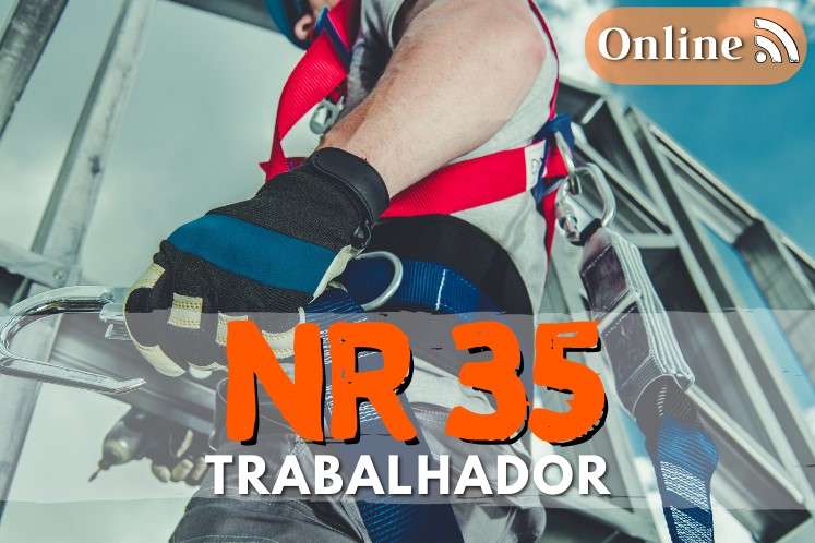 Curso nr 35 online